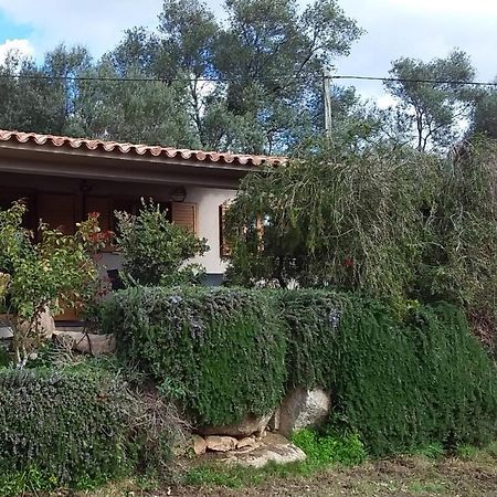 Villa Casa-Lesia Porto-Vecchio  Exterior foto